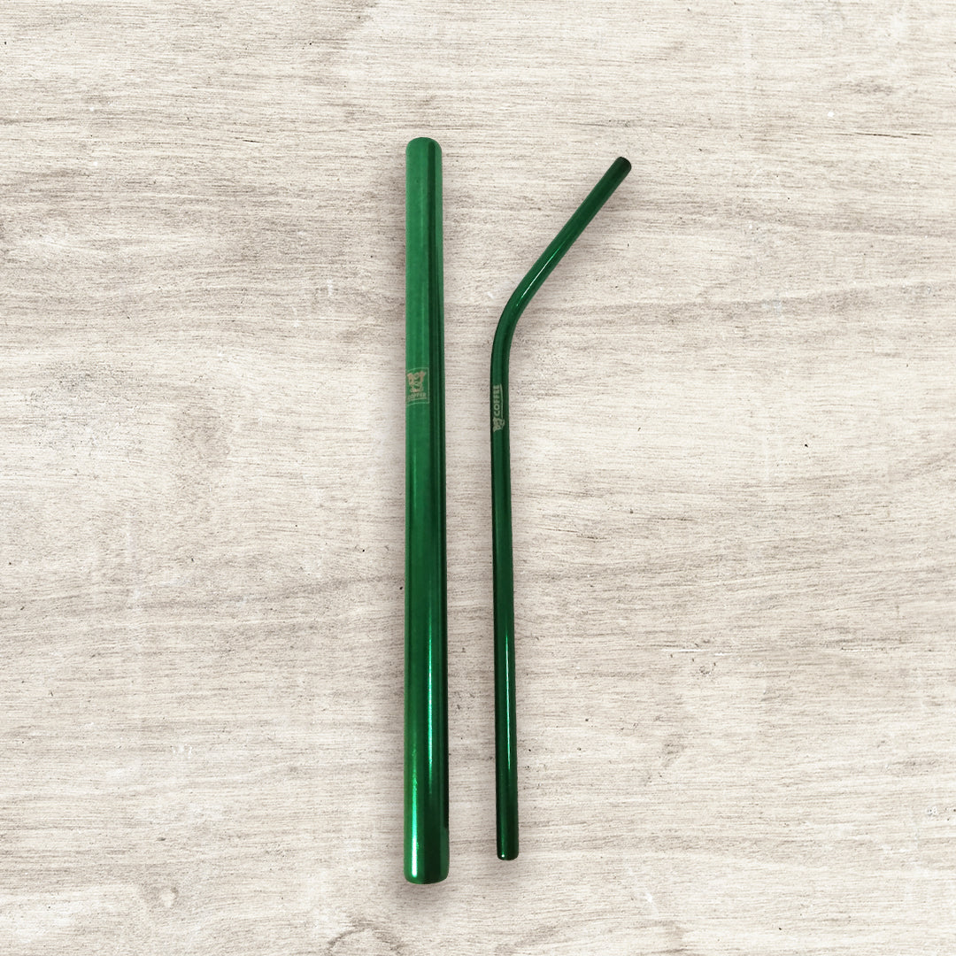 Philippine Coffee 2pcs Stainless Steel Straw green - Bo's Coffee