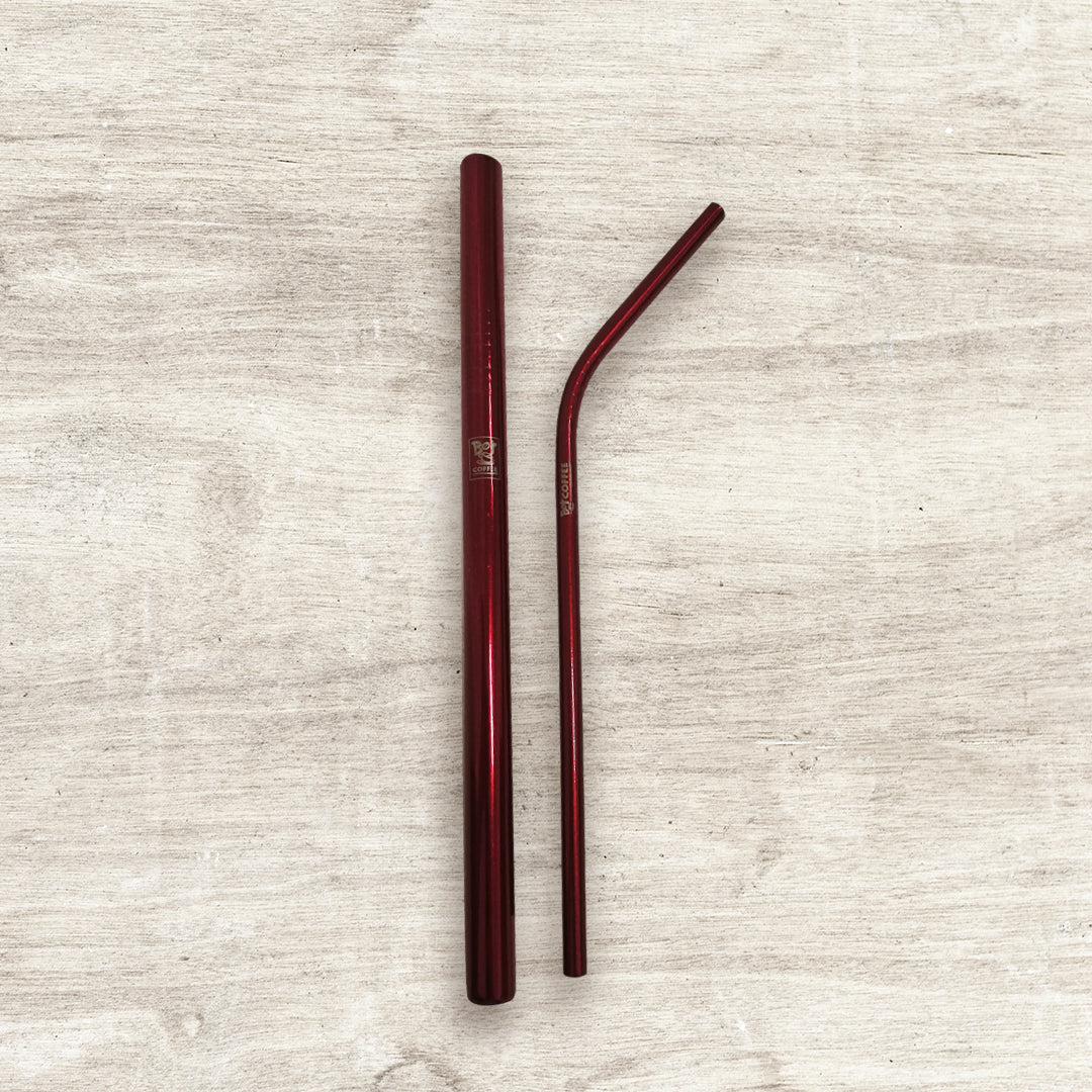 Philippine Coffee 2pcs Stainless Steel Straw red - Bo's Coffee